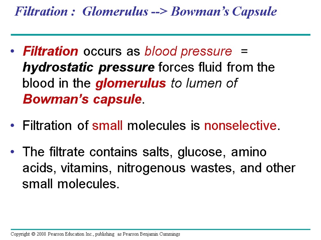 Filtration : Glomerulus --> Bowman’s Capsule Filtration occurs as blood pressure = hydrostatic pressure